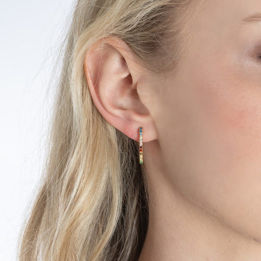 Amber Earrings Rainbow